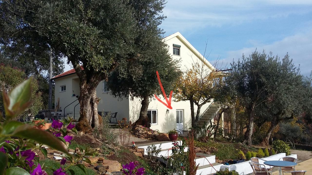Porturama Bed & Breakfast Mouronho Exterior photo